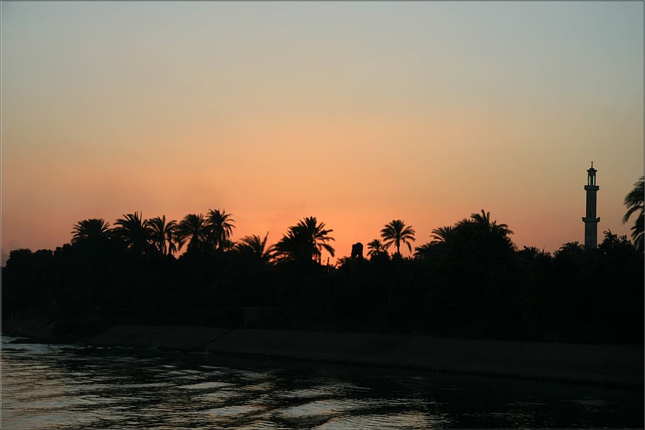 egypt, river, nile, sunset, water, tree, sky, plant, silhouette HD wallpaper