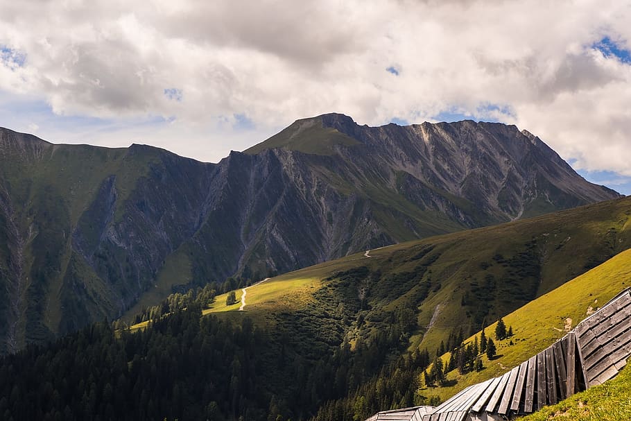 mountain covered with green trees, landscape, mountains, alpine meadows HD wallpaper