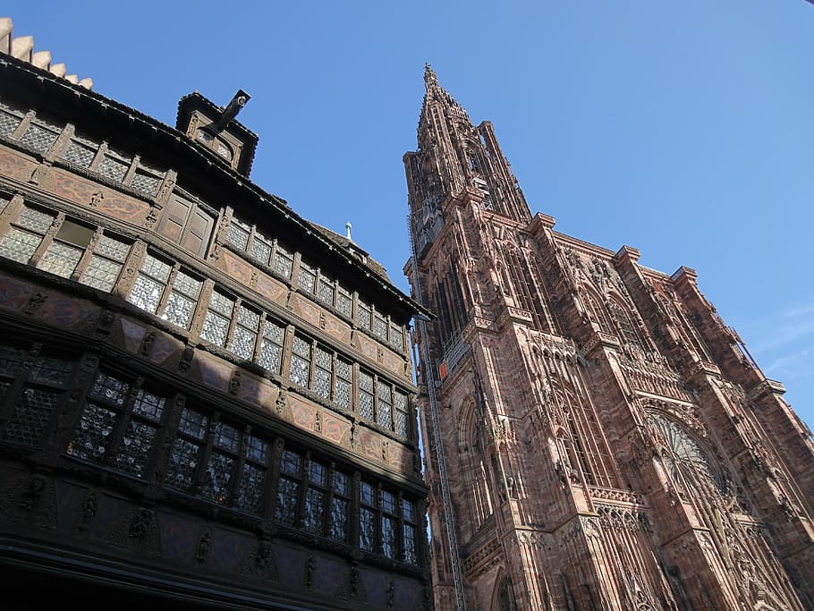 strasbourg, cathedral, house, alsace, religion, middle ages, HD wallpaper