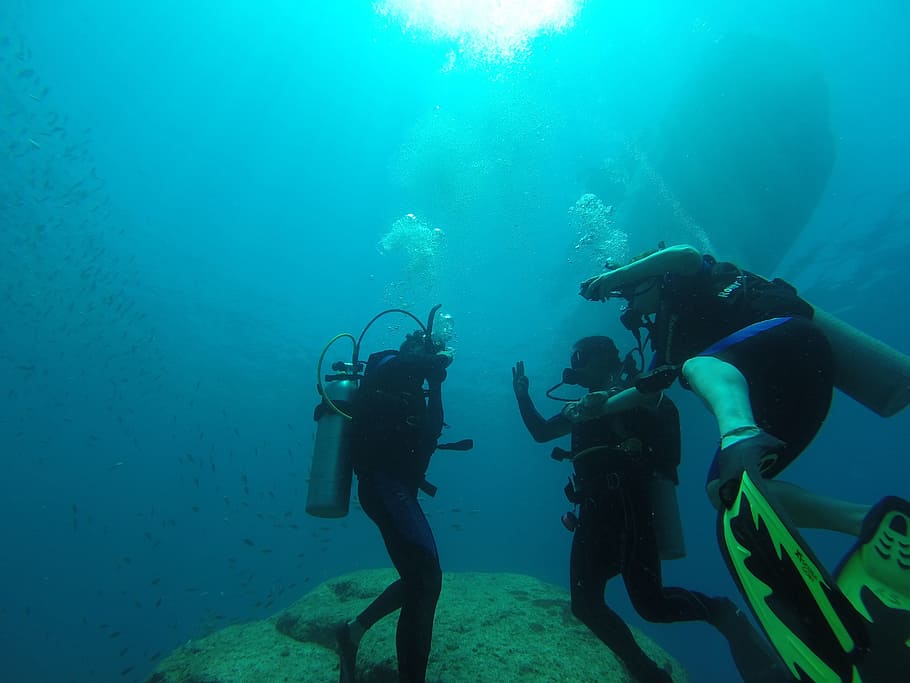Sea, Ocean, Scuba Diving, nature, adventure, animals, submarine HD wallpaper