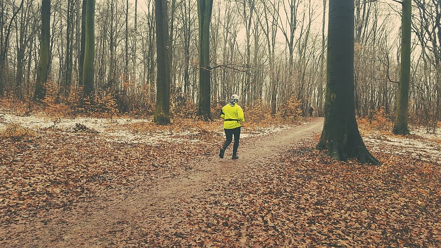 gear, trekking, forest, training, konary, spacer, scenery, wet HD wallpaper