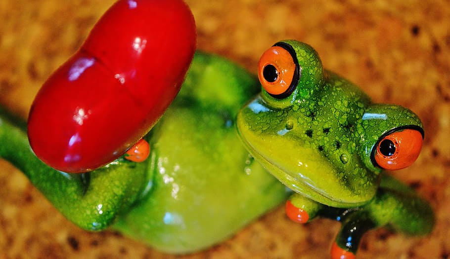 frog, funny, figure, cute, ceramic, frogs, sweet, animal, green HD wallpaper