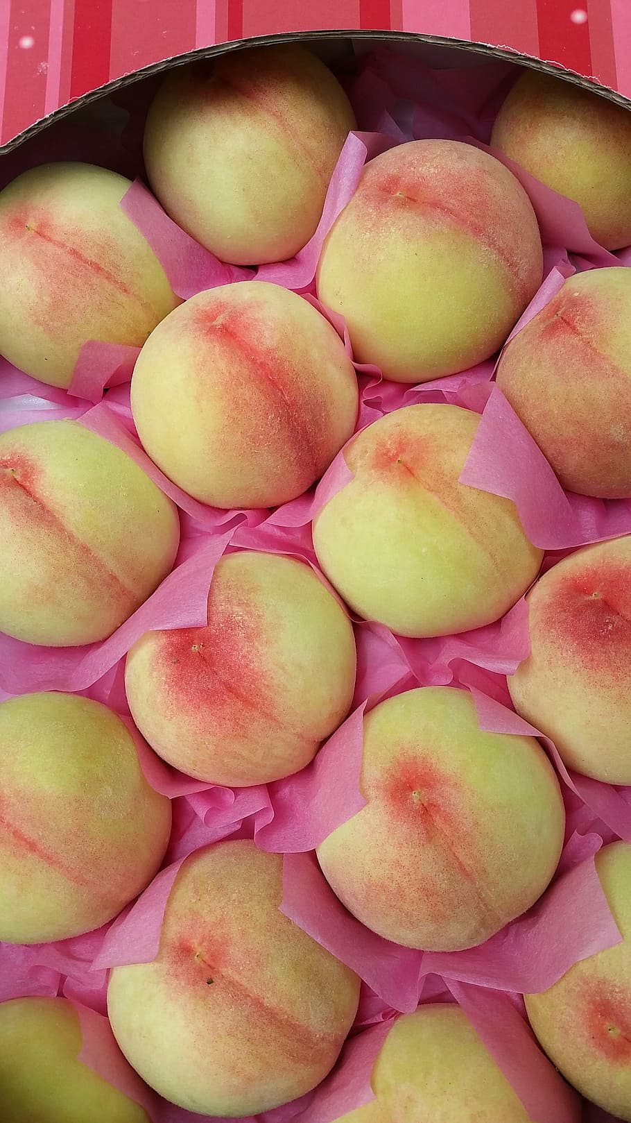 peach, the ecliptic, fruit, food and drink, freshness, healthy eating HD wallpaper
