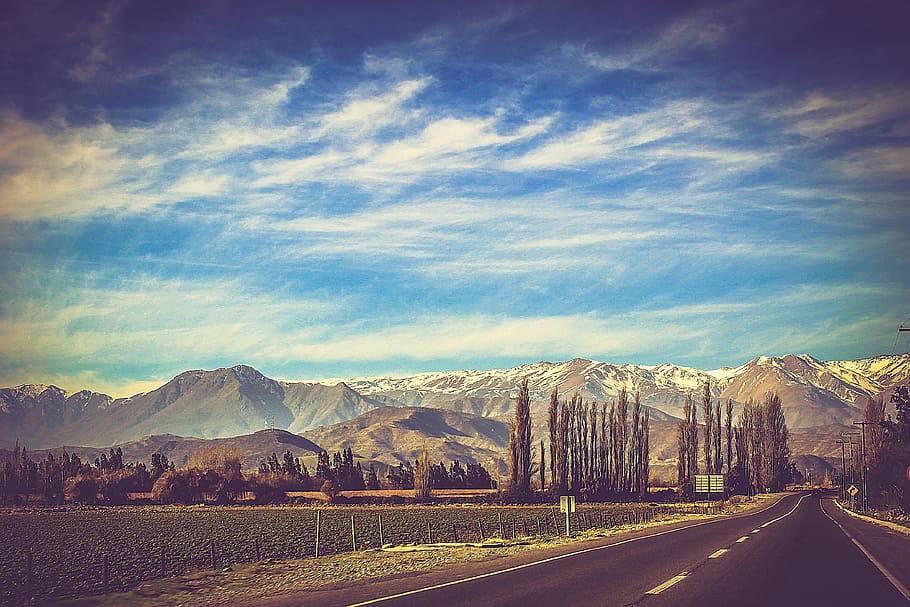 pathway beside green grass, landscape, road, mountain, trees HD wallpaper