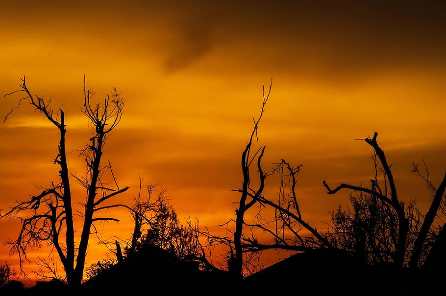 silhouette photography of trees, sunset, oklahoma, tornado damage HD wallpaper