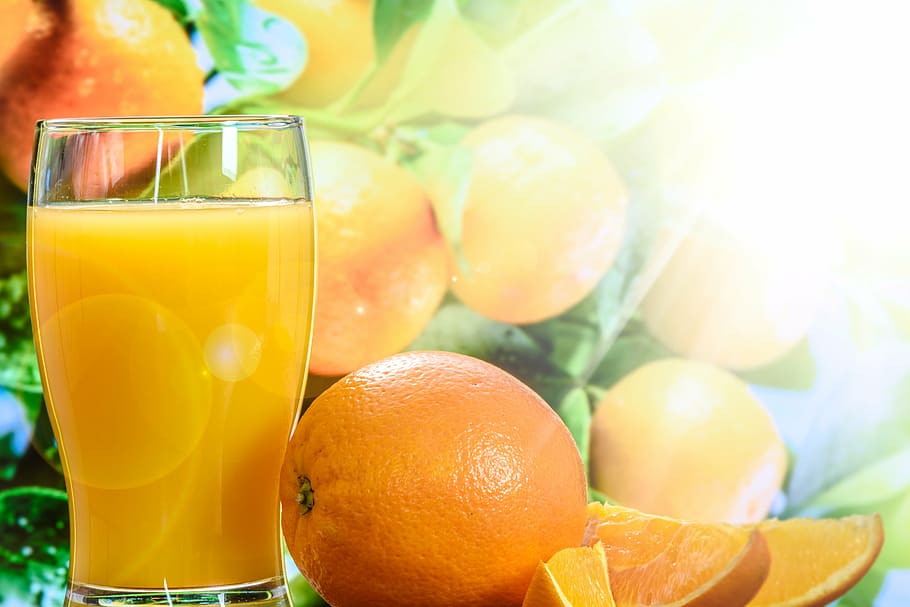 citrus fruit and juice, orange juice, cup, tree, the background HD wallpaper