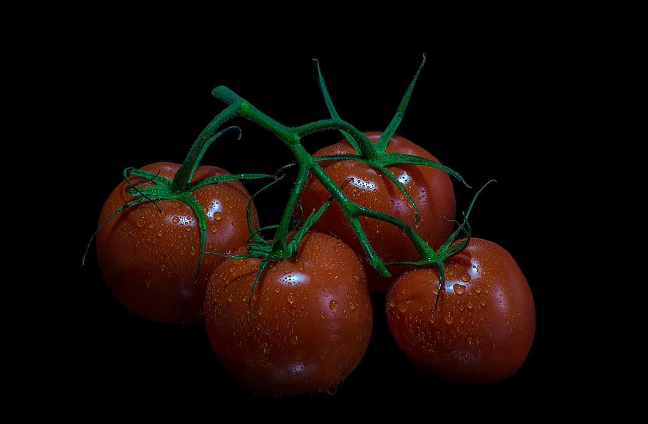 HD wallpaper: tomatoes, fruits, vegetables, red, food, healthy, green