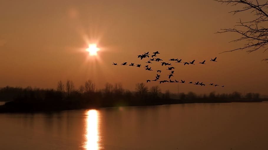 sunset, reflection, lake, waters, sky, evening, dusk, landscape HD wallpaper