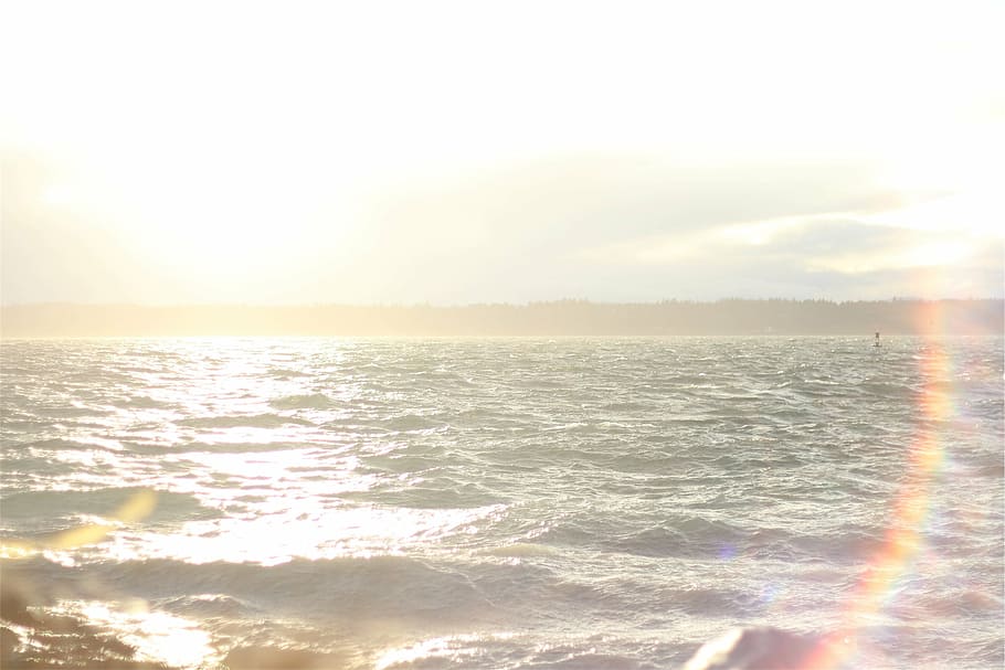 body of water during daytime, blue, sunrise, sun rays, sunshine HD wallpaper