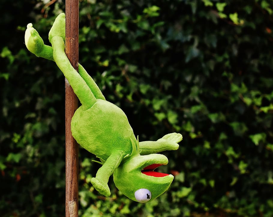 Kermit the frog pole dancing, pole dance, funny, soft toy, animal, HD wallpaper