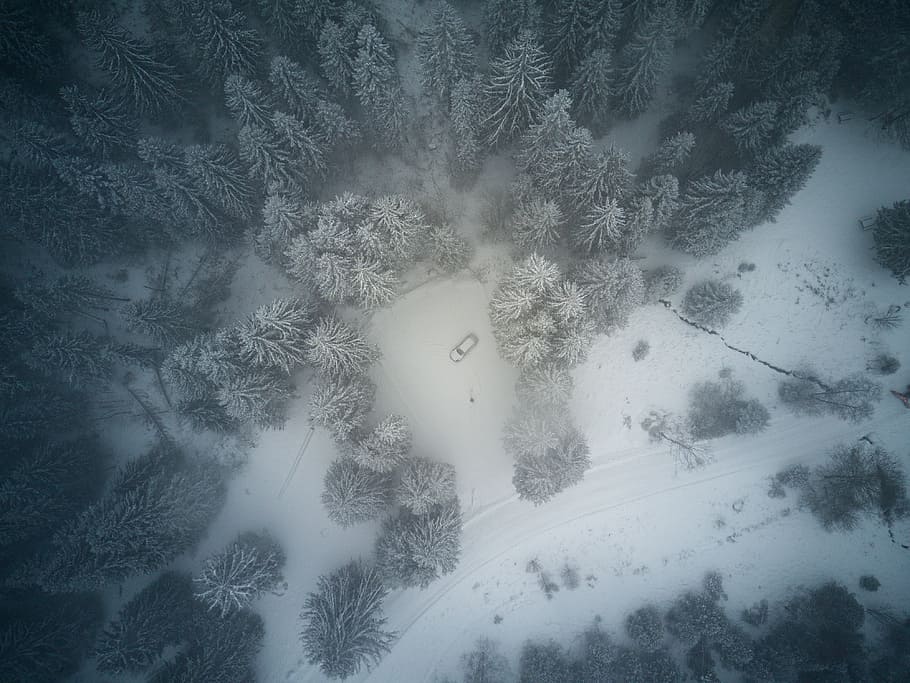 Car from a drone in winter, bird's eye view of forest surrounded by snow HD wallpaper