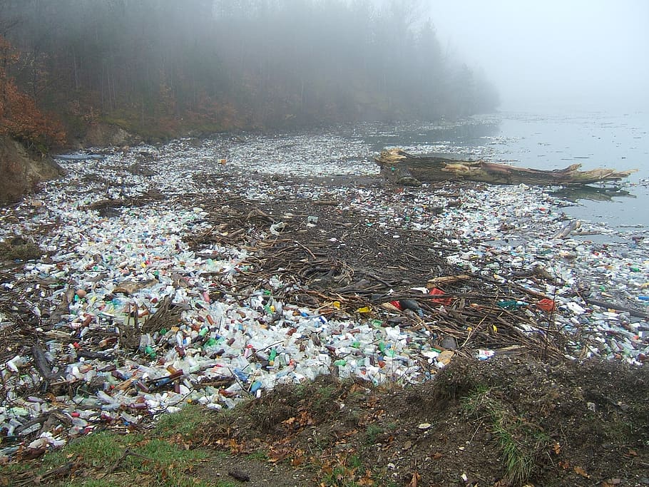 body of water full of plastic bottles and slab logs, pollution