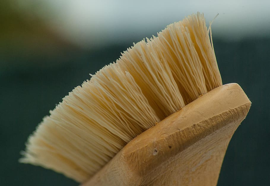 close up of brown and white brush, cleaning, household, maintenance, HD wallpaper