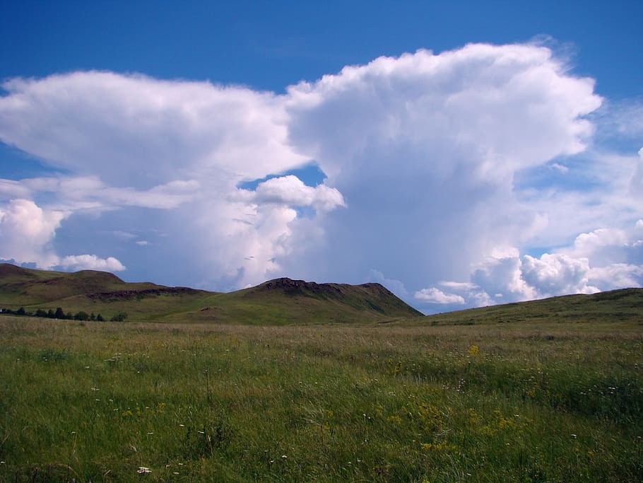 sky, steppe, spring, cloud - sky, tranquil scene, beauty in nature HD wallpaper