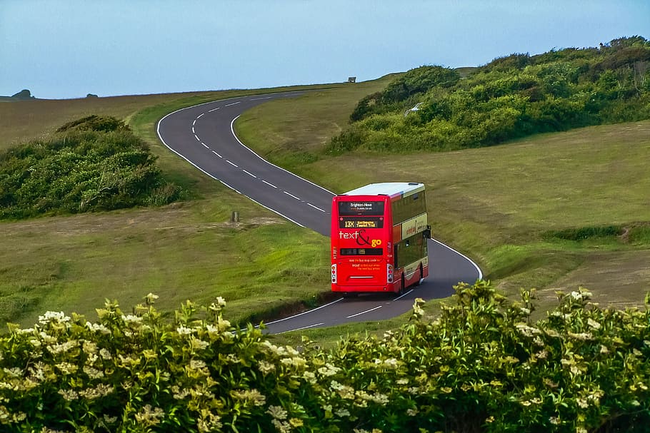 red bus, beachy head, path, england, plant, transportation HD wallpaper