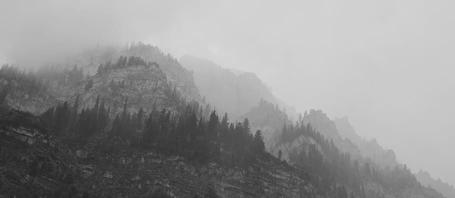 Fog, Mountains, Trees, Mysterious, foreboding, scenery, autumn HD wallpaper