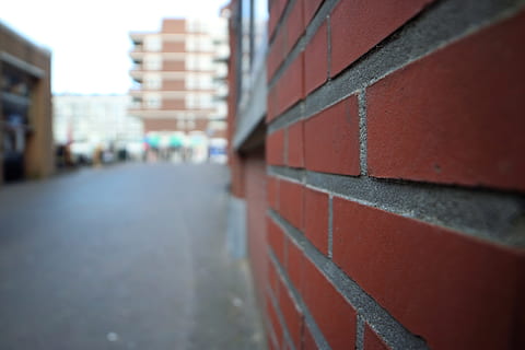 Wall, Stone, Close Up, blurred background, rose, scheveningen HD wallpaper