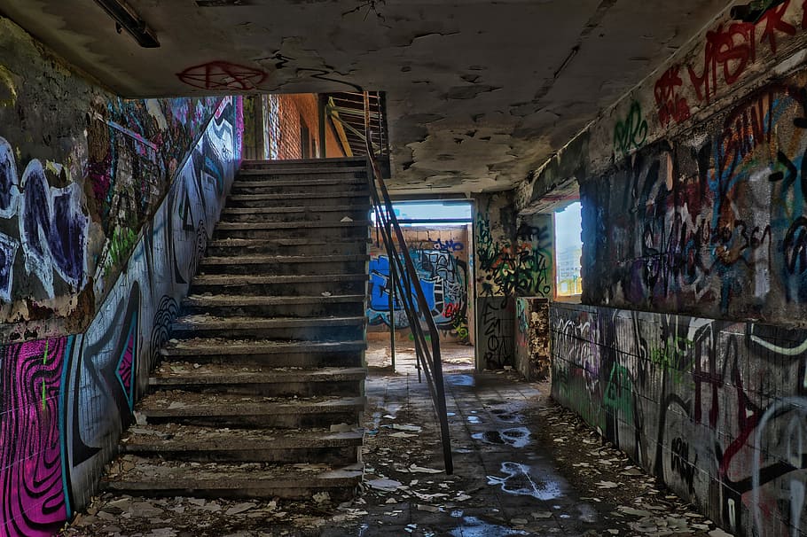 empty stairs inside building with graffiti walls, leave, architecture