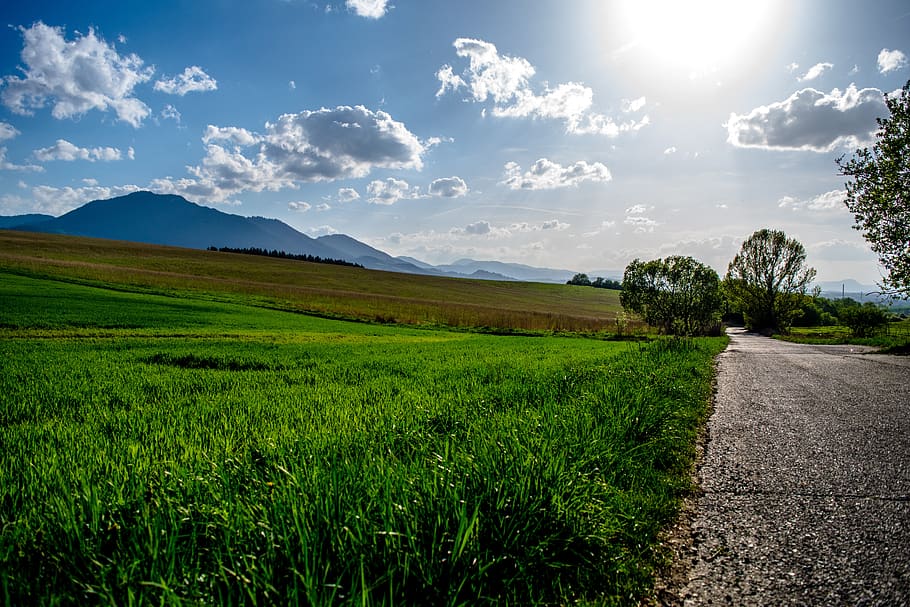 sun, grass, path, landscape, nature, trees, mountains, green HD wallpaper
