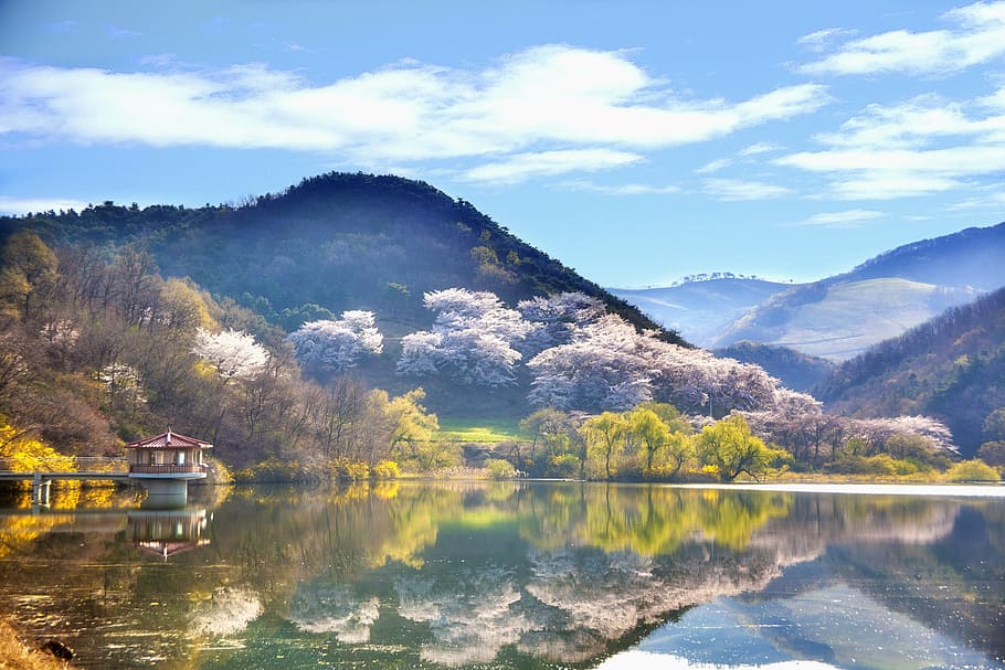 photo of mountain, trees, and river during daytime, korea, landscape