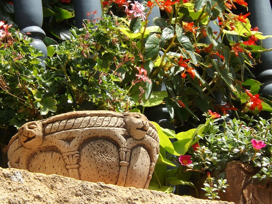 flower, midday, balcony, geranium, stone, pot, decoration, summer HD wallpaper