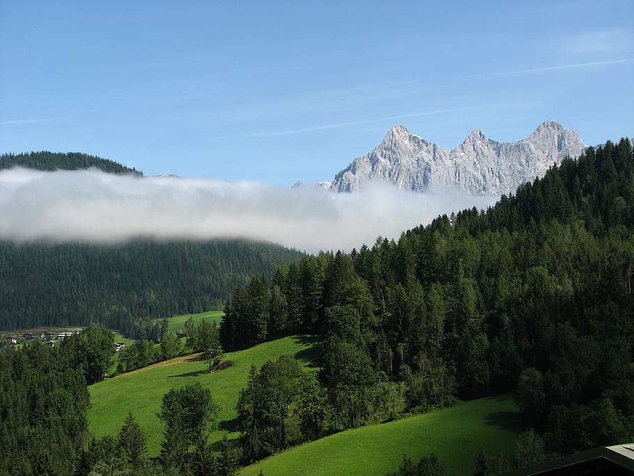 green pine trees, mountain, alpine, dachstein, sky, blue, nature HD wallpaper