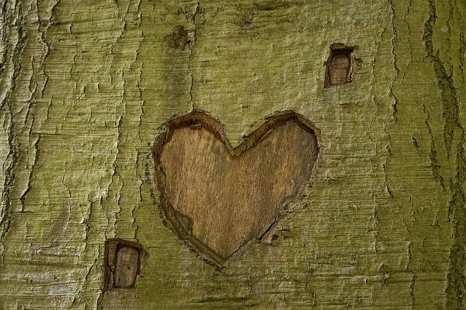 tree, park, heart, crop, love, nature, green, wood - Material HD wallpaper
