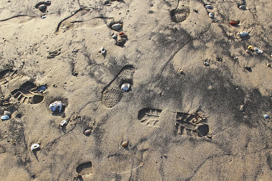 beach, shells, holidays, sandy beach, rock, the waterfront HD wallpaper