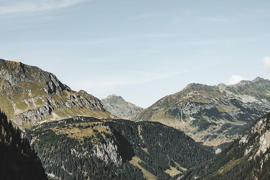 Big Mountains in Pure Austrian Nature, forest, green, panorama HD wallpaper