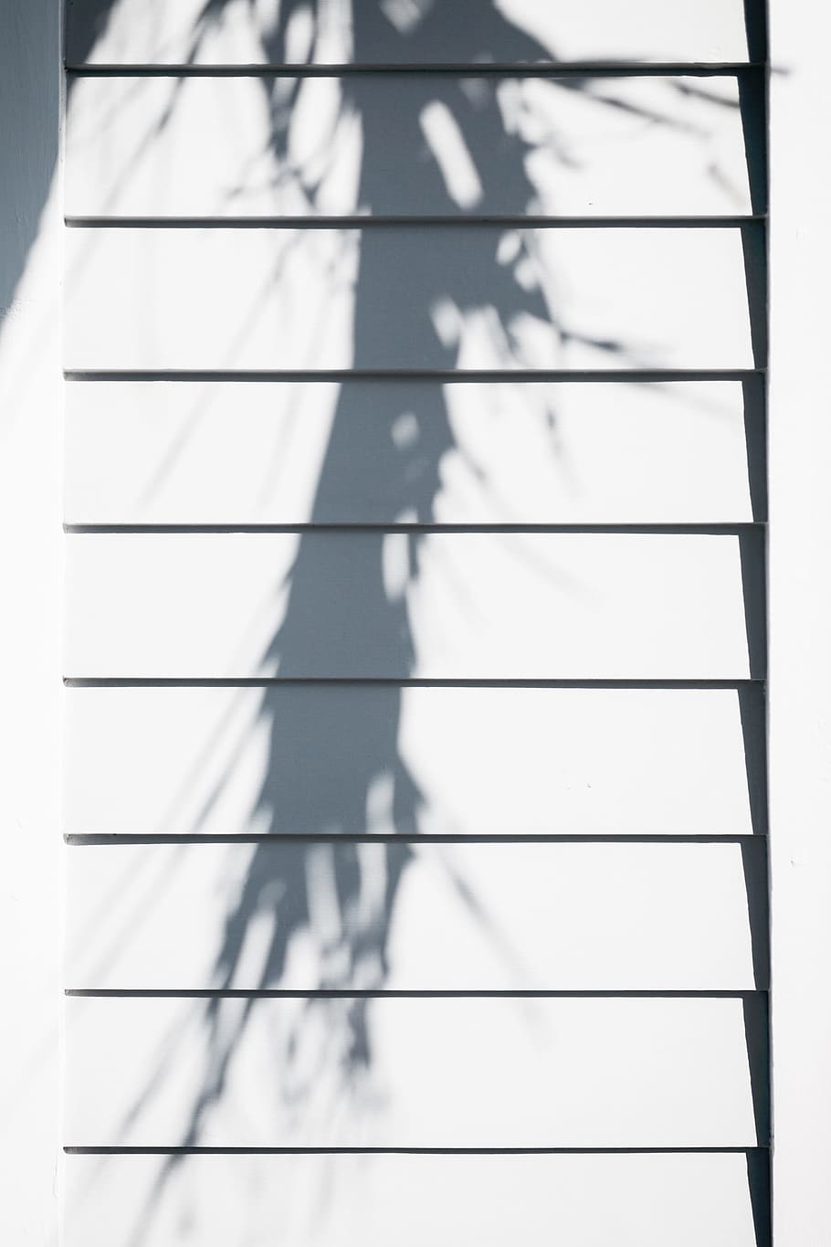 window, wood, white, shadow, house, day, sunlight, architecture HD wallpaper