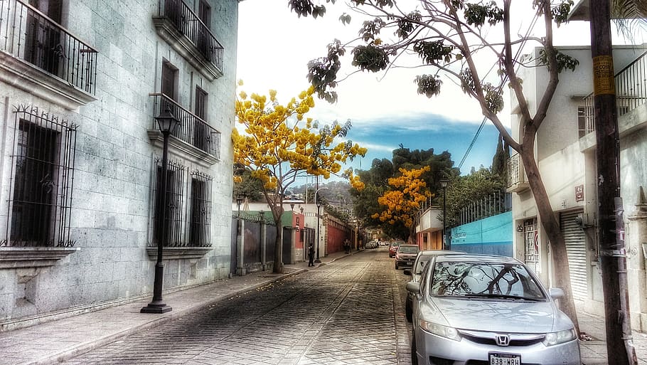 street, oaxaca, colonial, mode of transportation, architecture HD wallpaper