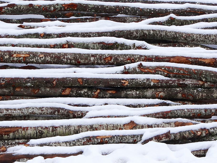 wood, snow, winter, cold, cold temperature, no people, covering HD wallpaper