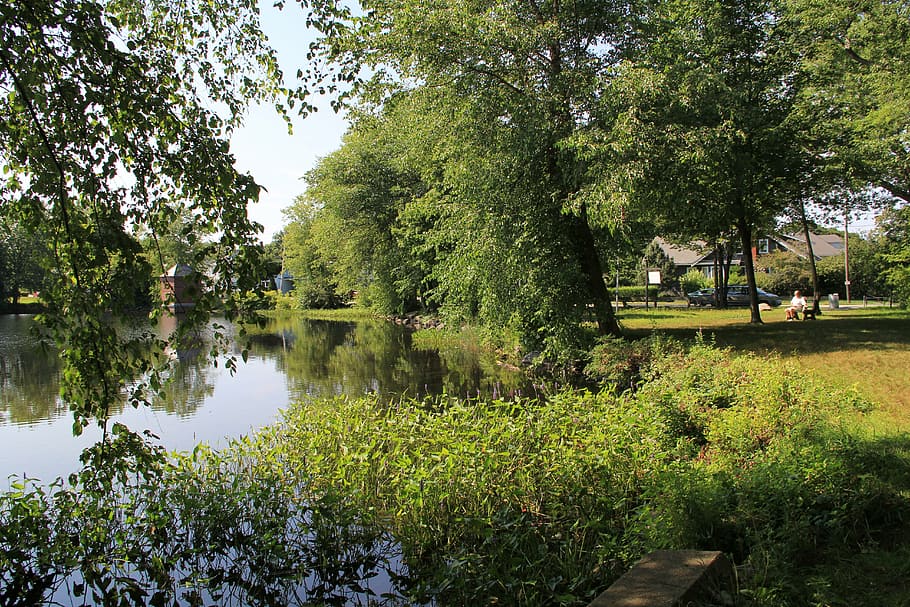 pentucket lake, lakes, trees, summer, haverhill, nature, water HD wallpaper