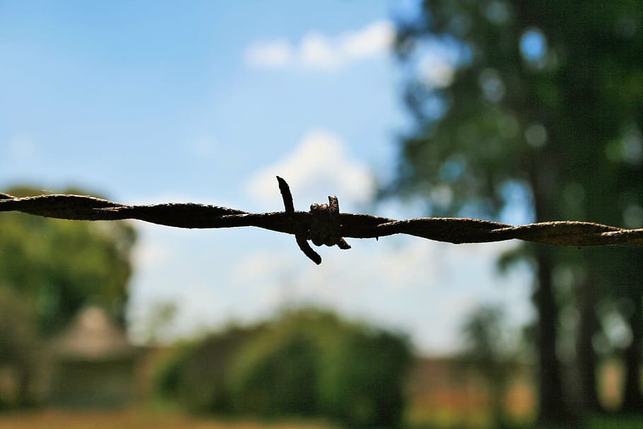 barbed wire, twisted, sharp, security, rusted, farm, fence HD wallpaper