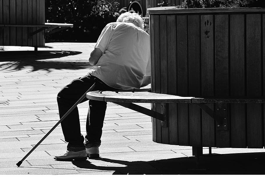 person sitting on bench, people, man, old, setting, chair, garden HD wallpaper