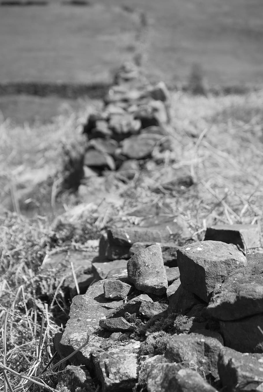 wall, dry, stone, grass, rough, no people, nature, day, land HD wallpaper