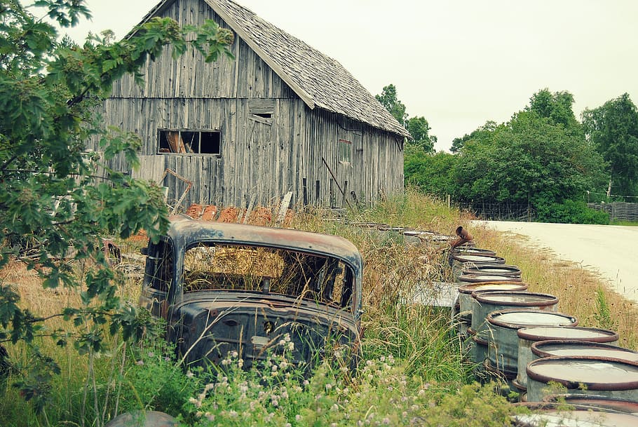 car, rust, scrap, abandoned, plant, architecture, tree, transportation HD wallpaper