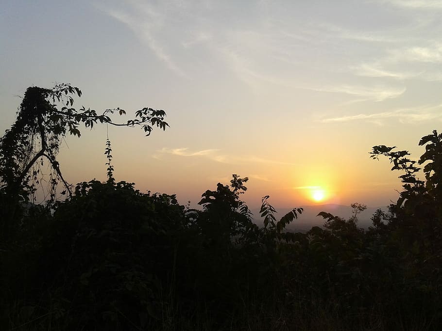 Nature, Sunset, Dawn, tree, silhouette, scenics, no people HD wallpaper