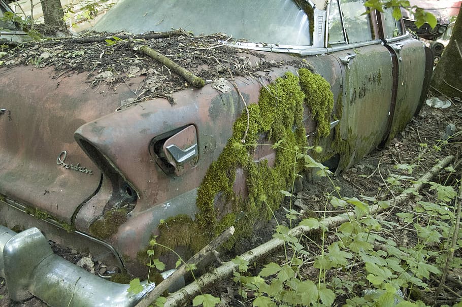 Auto, Car, Cemetery, Oldtimer, Stainless, car cemetery, stainless karre HD wallpaper