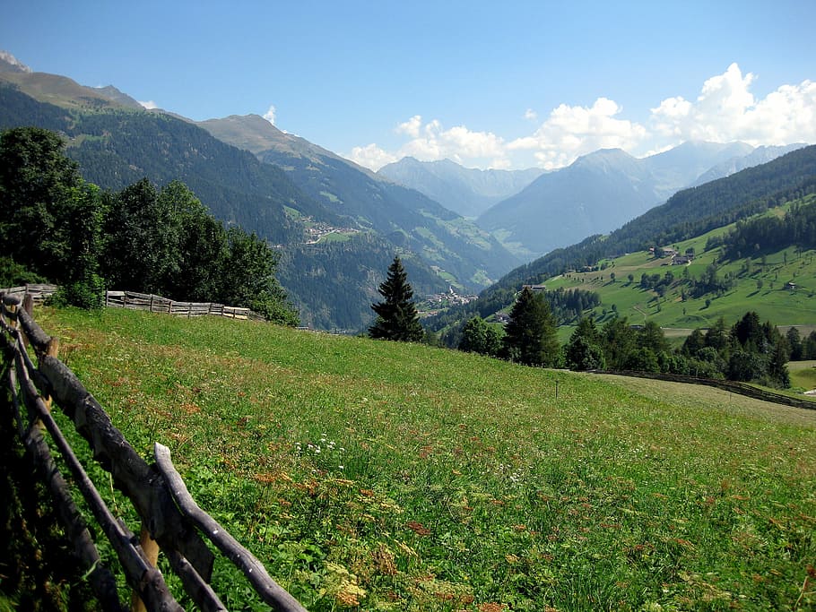Mountains, Meadow, Alpine, Landscape, nature, summer meadow HD wallpaper
