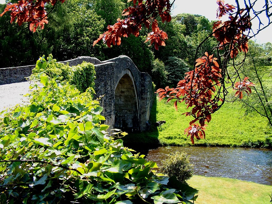 Hd Wallpaper Scotland Ayrshire Brig O Doon Park Forest Green Meadow Wallpaper Flare