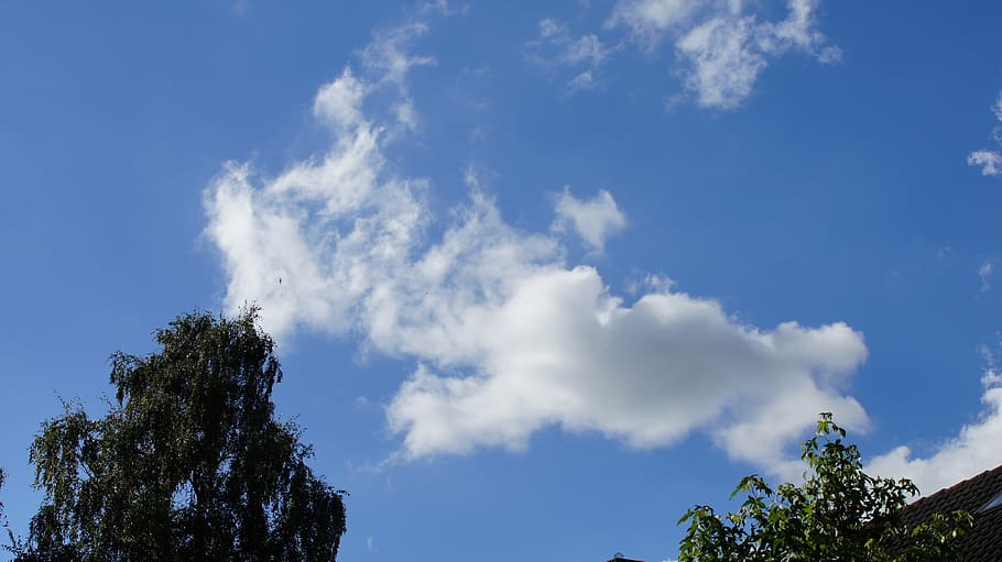 cloud, air, clouds, nature, blue, tree, sky, outdoors, summer HD wallpaper