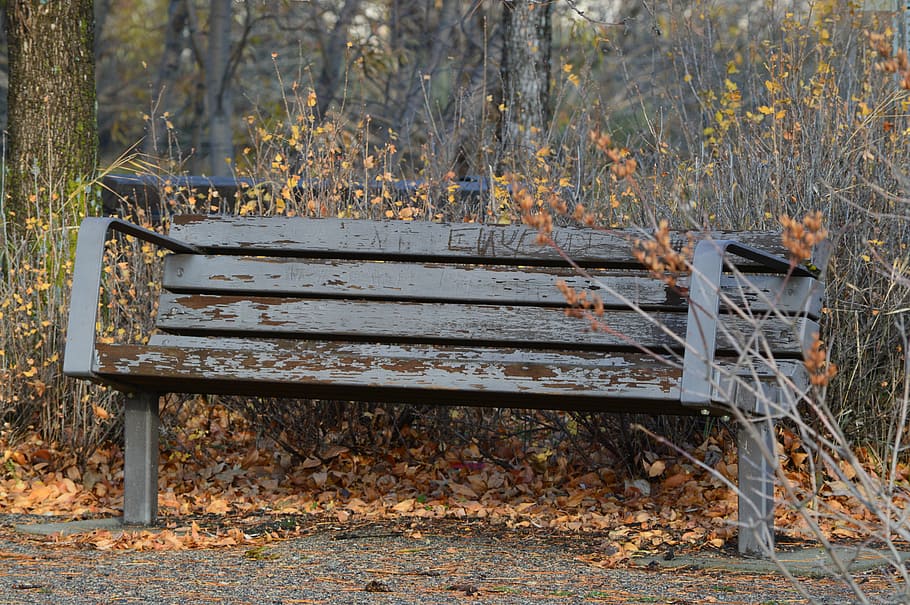 bench, rustic, weathered, nature, park, seating, wooden, old HD wallpaper