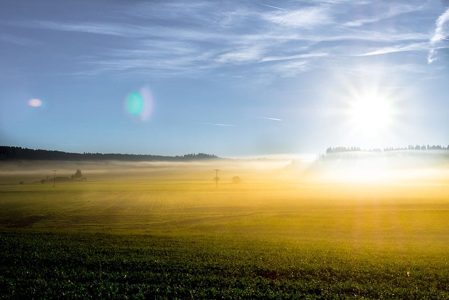 HD wallpaper: green lawn, sunrise, herbstnebel, sky, morning, clouds