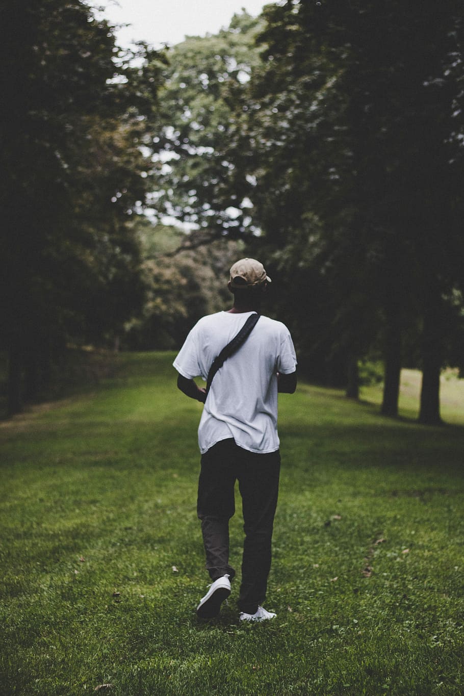 man walking on lawn, man walking on lawn surrounded by trees HD wallpaper