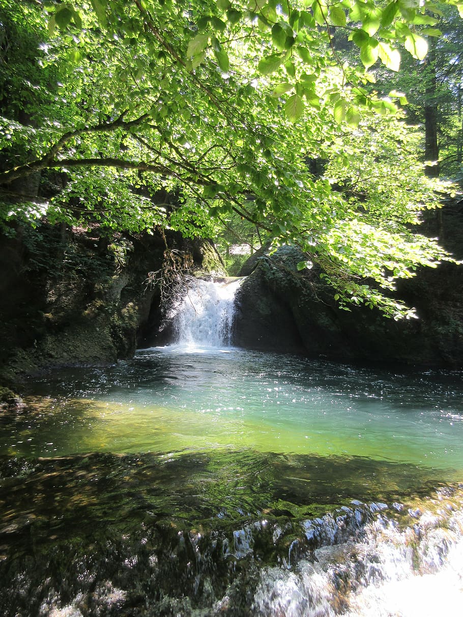 eistobel, waterfall, bach, tree, forest, beauty in nature, scenics - nature HD wallpaper