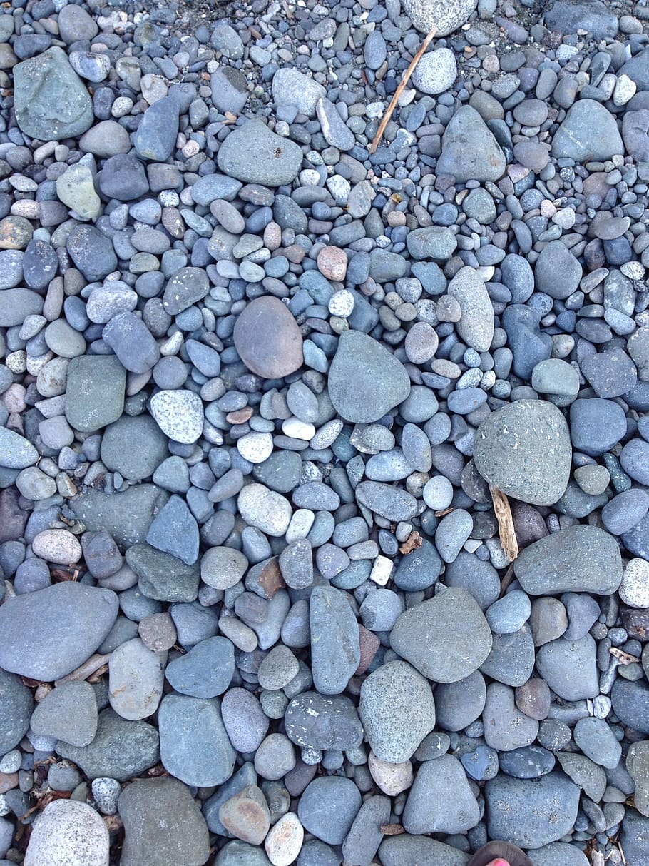 rocks, dry, river, stone, nature, landscape, texture, coast HD wallpaper