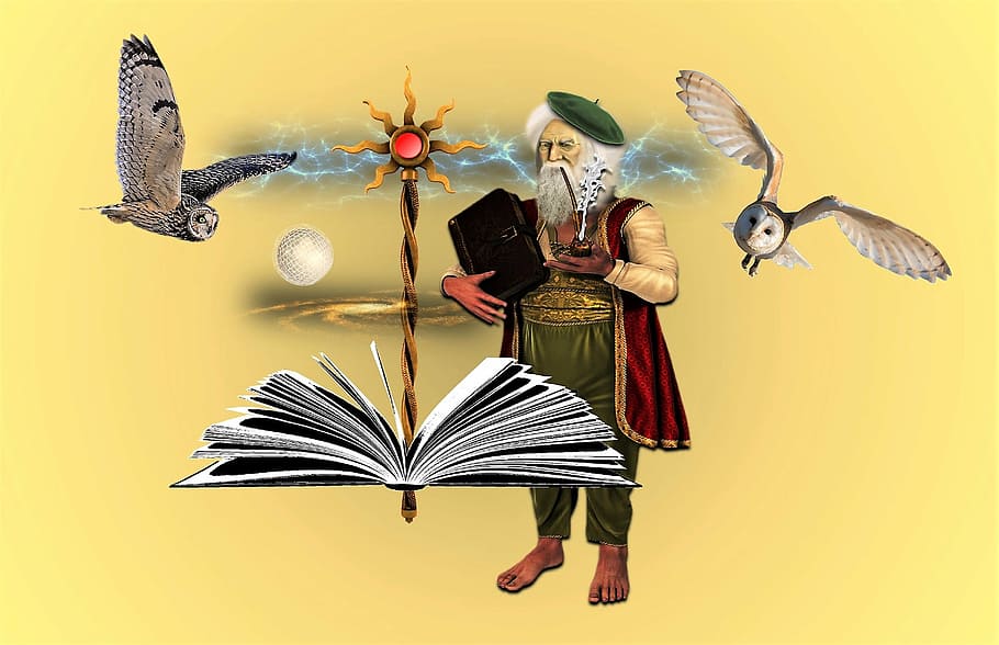 man holding book surrounded with owls digital wallpaper, fantasy HD wallpaper