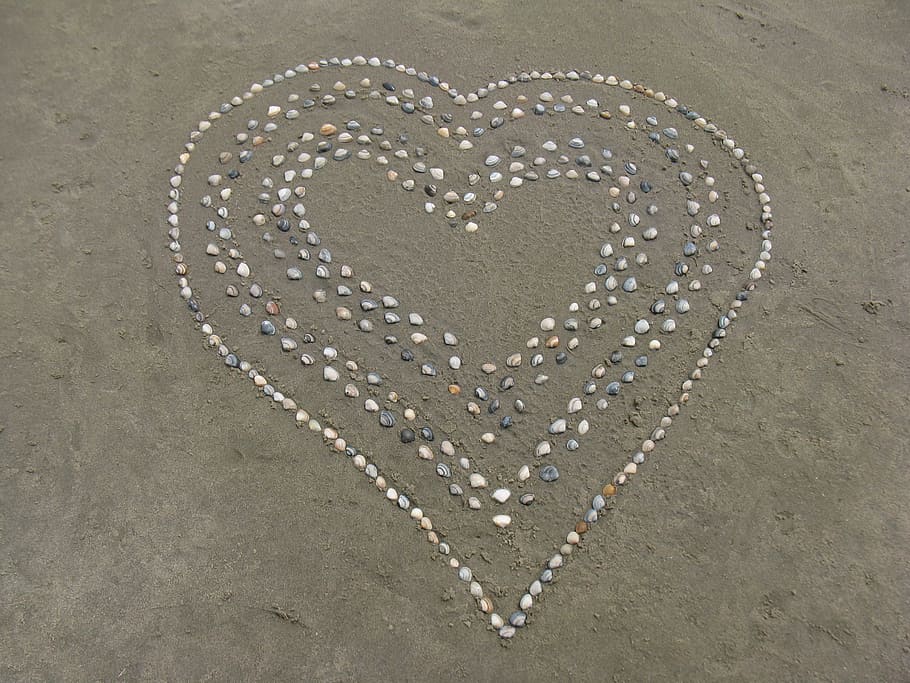 heart-shaped sand decor, Shell, Beach, Beach, Sand, Water, Ocean HD wallpaper