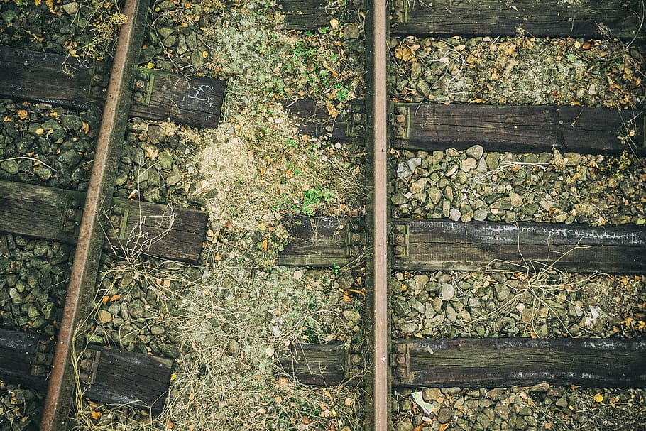 track, railway, old, plant, wood - material, day, tree, no people HD wallpaper